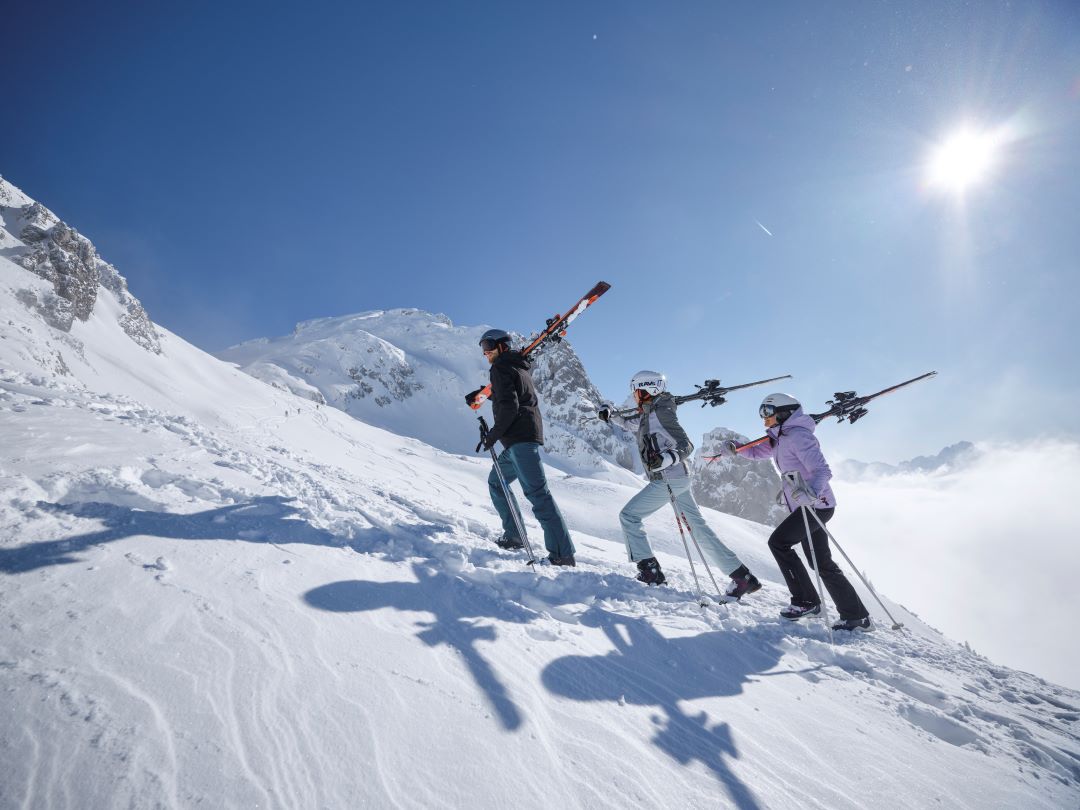 Skifahrer am Berg, im Schnee, Alpen, Ski, Snowboard